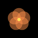 Achievement: Friendship circle 