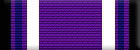 Task Force: Purple Heart